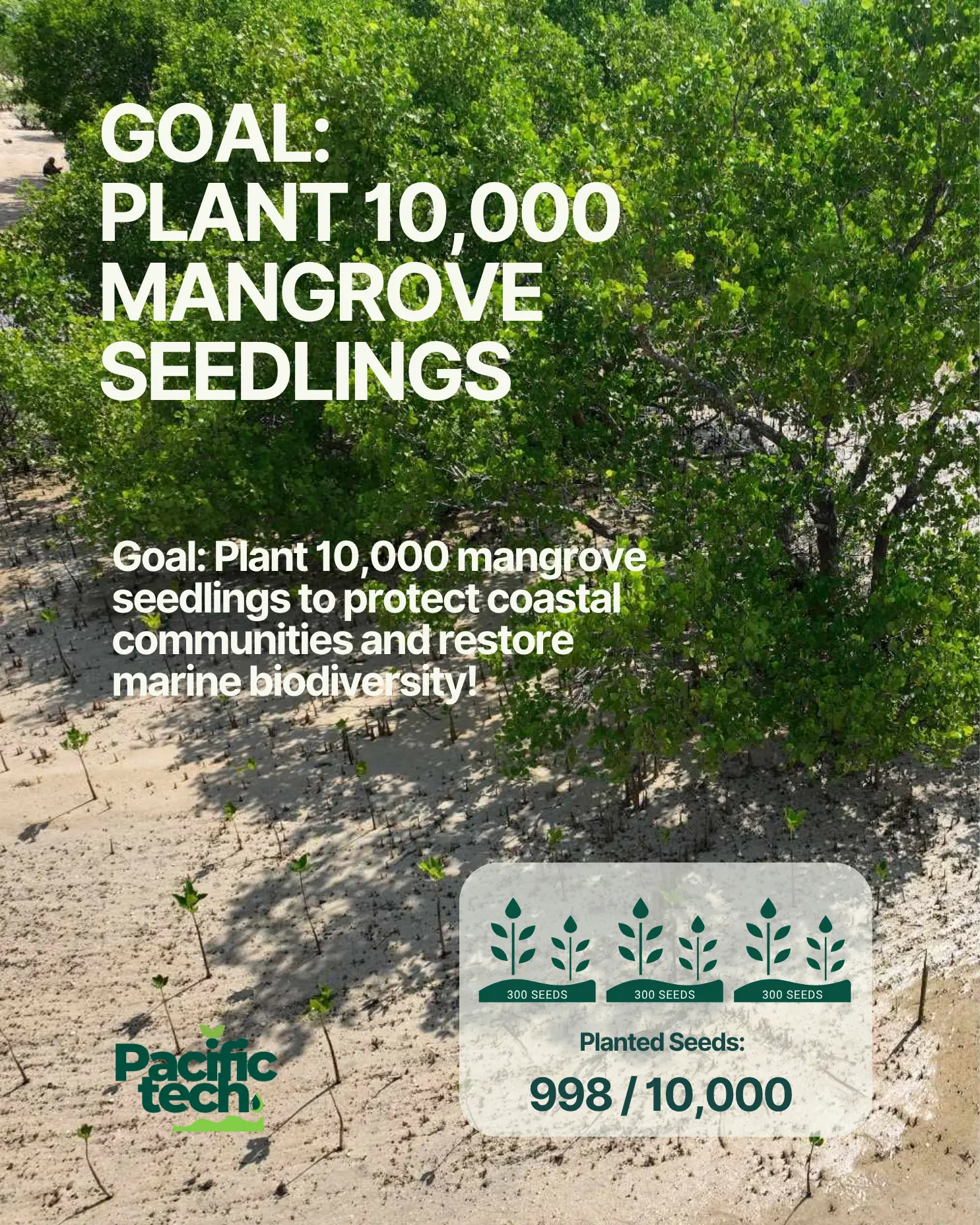 PACIFICTECH goal to plant 10,000 mangrove seedlings, with 998 recorded
